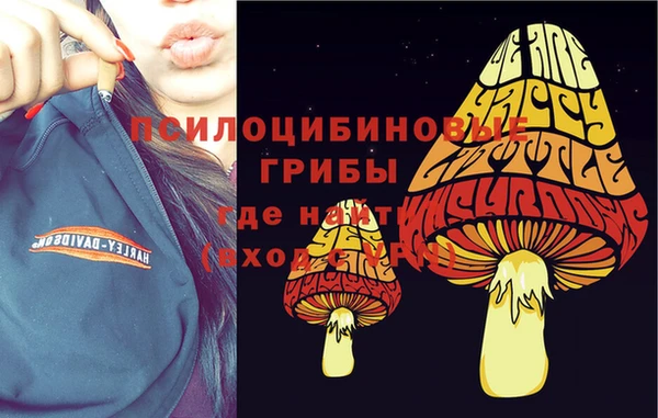 а пвп мука Алзамай