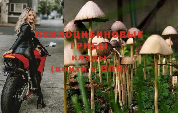 а пвп мука Алзамай