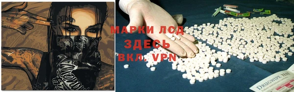 гидра Алексин