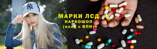 гидра Алексин