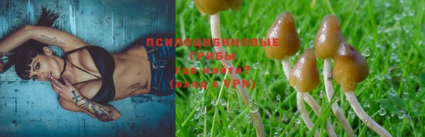 а пвп мука Алзамай